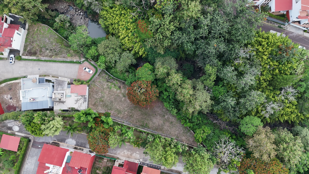 Área arbolada del terreno residencial en Las Cumbres, Xalapa